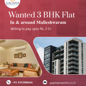 Wanted 3 BHK Flat